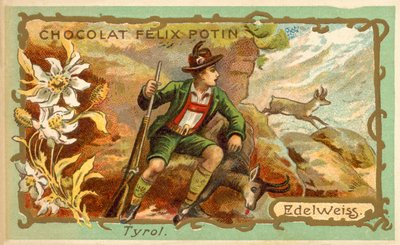 Edelweiss, Tyrol (chromolitho) بواسطة المدرسة الفرنسية