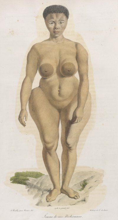 "Femme de Race Bochismann". يبدو أن هذه اللوحة عبارة عن صورة لسارة (سارتي) بارتمان (1789-1815) ، وهي خويسان تم إحضارها من جنوب إفريقيا لعرضها على الملأ في بيكاديللي تحت عنوان "الزهرة الحارة" بسبب ما كان د. بواسطة المدرسة الفرنسية