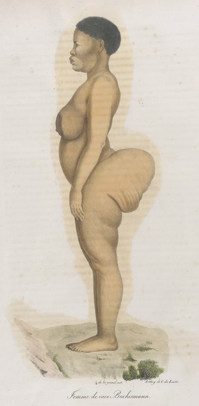 "Femme de Race Bochismann". من الواضح أن هذه اللوحة عبارة عن صورة لسارة (سارتي) بارتمان (1789-1815) التي كانت خويزانية تم إحضارها من جنوب إفريقيا لعرضها على الجمهور في بيكاديللي تحت عنوان "هوتنتوت فينوس" بسبب ما كان بواسطة المدرسة الفرنسية