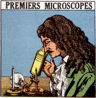 المجاهر الأولى: Huygens. بواسطة المدرسة الفرنسية