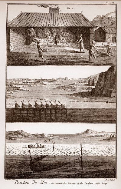 صيد السمك والرنجة والسردين - Peches de Mer - Sorretterie des herring et des sardines - "" La Grande Encyclopedie، ou Dictionnaire Raisonne des Sciences، des Arts et des Metiers "" (موسوعة أو قاموس العلوم والفنون والمهن) بقلم ديني بواسطة المدرسة الفرنسية