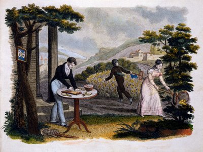 صورة من Les Papillons ... بواسطة Eugene Balland (1796-c.1850) ، نشره P. Blanchard ، Lecerf ، باريس ، 1823 (نقش الألوان) بواسطة المدرسة الفرنسية