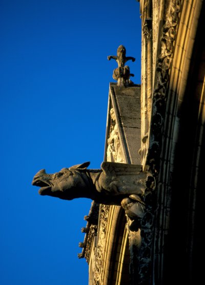 كاتدرائية Gargoyle of Laon في أيسن (02) بواسطة المدرسة الفرنسية