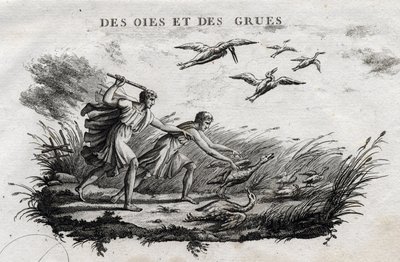 الأوز والرافعات - Fable d'Esope (الكاتب اليوناني Esop أو Esop ، القرن السادس قبل الميلاد) كتبها Guillaume Montfort ونقشها Beauble في عام 1801 بواسطة المدرسة الفرنسية