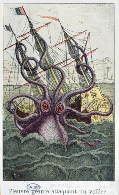 الأخطبوط العملاق ، التوضيح من LHistoire Naturelle Generale et Particuliere des Mollusques بواسطة Denys-Montfort ، ج. 1802-03 بواسطة المدرسة الفرنسية