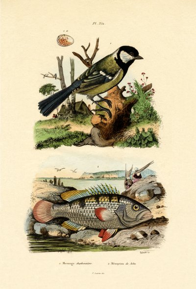 الحلمة الكبرى ، 1833-1839 بواسطة المدرسة الفرنسية