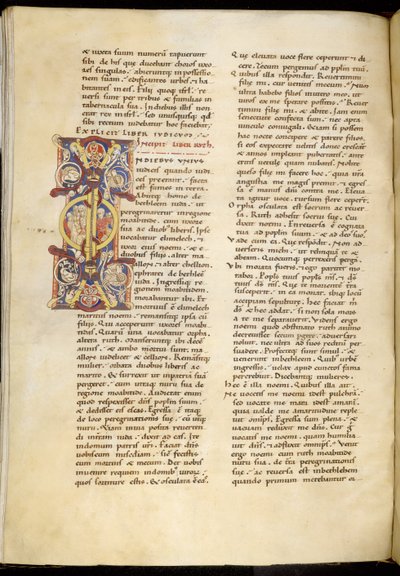 Harley 4772 f.120v الصفحة الافتتاحية من كتاب روث ، "إنجيل مونبلييه" (حبر ولون على الرق) بواسطة المدرسة الفرنسية
