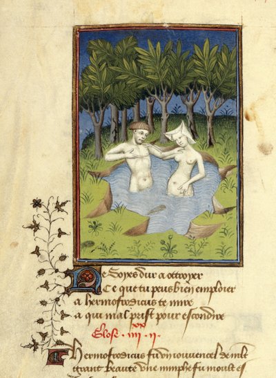 Harley MS 4431، f.132v، Miniature of Hermaphroditus و nymph Salmacis الاستحمام في بحيرة ، من L