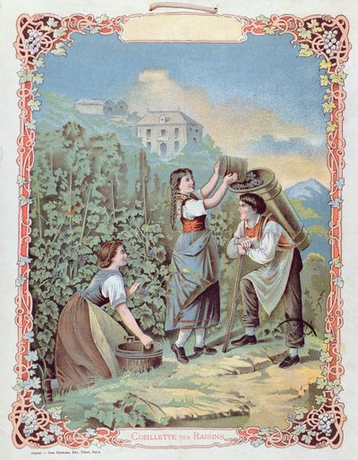 حصاد العنب ، من تقويم ، ج .1880 بواسطة المدرسة الفرنسية