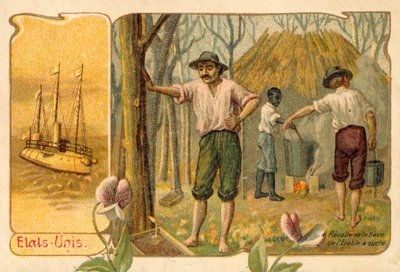 Harvesting maple sap to make maple syrup, United States (chromolitho) بواسطة المدرسة الفرنسية