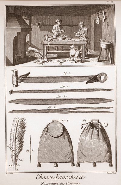 الصيد - الصيد بالصقور - غذاء الطيور - النقش بواسطة Benard d'apres Goussier - "" الموسوعة الكبرى ، ou Dictionnaire Raisonne des Sciences، des Arts et des Metiers "(موسوعة أو قاموس العلوم والفنون والمهن) بقلم دينيس ديدرو ( 1713 بواسطة المدرسة الفرنسية