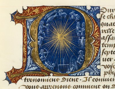 Illuminated initial capital letter D, from Treaty of Medicine Aldebrande of Florence بواسطة المدرسة الفرنسية