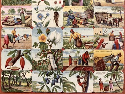 رسم توضيحي لكتاب مدرسي فرنسي عن منتجات مختلفة من المستعمرات ، c.1920-30 بواسطة المدرسة الفرنسية