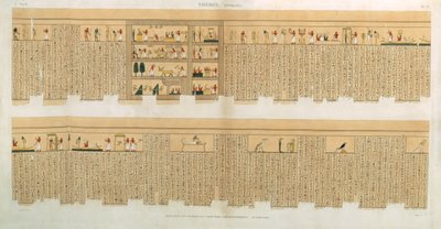 الرسوم التوضيحية لمخطوطة بامبوس مع الهيروغليفية ، Hypogees ، طيبة ، اللوحة 75 من المجلد الثاني من "أوصاف مصر" ، نقشها ويليمين ، حانة. 1822 (أكواتينت) بواسطة المدرسة الفرنسية