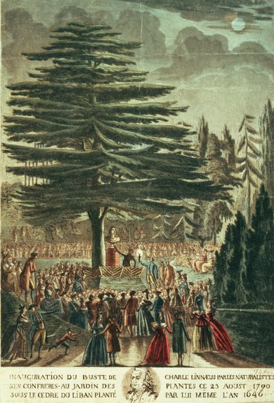 تدشين تمثال نصفي كارل لينيوس (1707-78) في حديقة النباتات ، تحت أرز لبنان الذي زرعه في 1646 ، 23 أغسطس 1790 بواسطة المدرسة الفرنسية