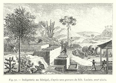 Indigoterie في السنغال ، بعد نقش لـ Seb ، Leclerc ، القرن السابع عشر (نقش) بواسطة المدرسة الفرنسية