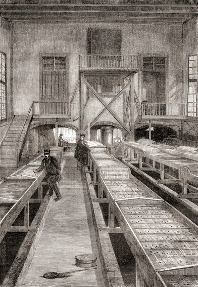 Interior of a 19th century fish farm in Huningue, France, from Les Merveilles de la Science, published c.1870 (engraving) بواسطة المدرسة الفرنسية