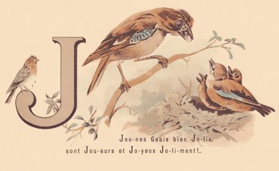 J: Young Jays Pretty لاعبين و Happy Jolily! بواسطة المدرسة الفرنسية