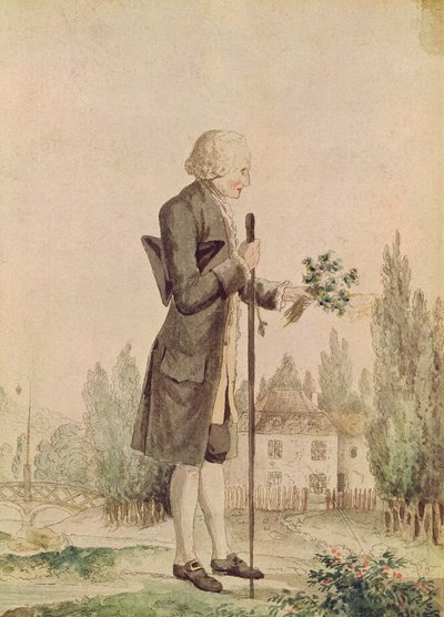 جان جاك روسو (1712-1778) يجمع الأعشاب في إرمينونفيل بواسطة المدرسة الفرنسية
