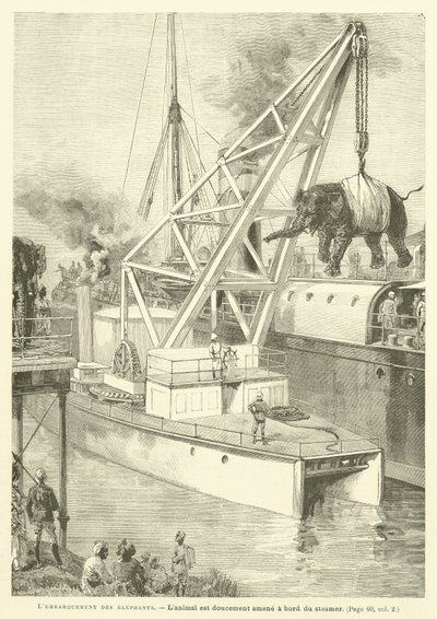 Embarquement Des Elephants (نقش) بواسطة المدرسة الفرنسية