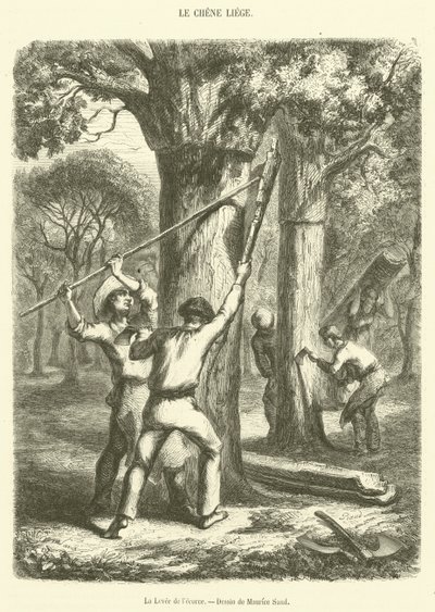 The Bark Levee (نقش) بواسطة المدرسة الفرنسية