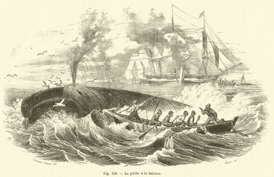 La peche a la baleine (engraving) بواسطة المدرسة الفرنسية
