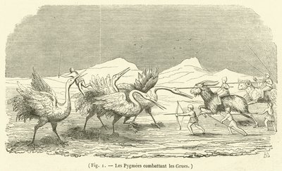 Les Pygmees combattant les Grues (engraving) بواسطة المدرسة الفرنسية