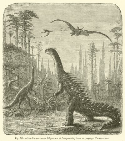 الديناصورات ، Stegosaurus و Compsonote ، في مشهد araucariees (نقش) بواسطة المدرسة الفرنسية