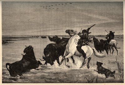 الثيران (سلالة الأبقار) من كامارغ بعد الطلاء بواسطة vayson- نقش في "" PATRIE - نقش في "" PATILE "- الوصف PINTUREQUIRESSE DE LA FRANCE في 6 ألوان بواسطة لوسين هوارد - نهاية القرن التاسع عشر بواسطة المدرسة الفرنسية