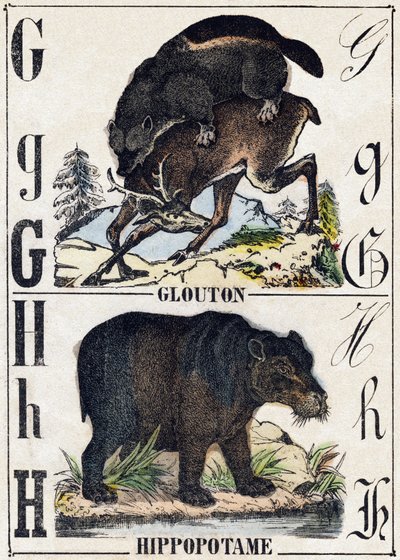 حرف G Glutton ؛ فرس النهر. نقش في "" Alphabet des animaux sauvages "". 9th الدوري. صور إبينال ، بيليرين ، ناشر طابعة ، حوالي عام 1870. نقوش على الخشب ، مطبوعة. 16 صفحة. الأبعاد: 20 × 15 سم. مجموعة خاصة بواسطة المدرسة الفرنسية