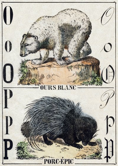 حرف O الدب ؛ ملحمة لحم الخنزير (ملحمة الخنزير). نقش في "" Alphabet des animaux sauvages "". 9th الدوري. صور إبينال ، بيليرين ، ناشر طابعة ، حوالي عام 1870. نقوش على الخشب ، مطبوعة. 16 صفحة. الأبعاد: 20 × 15 سم. مجموعة خاصة بواسطة المدرسة الفرنسية