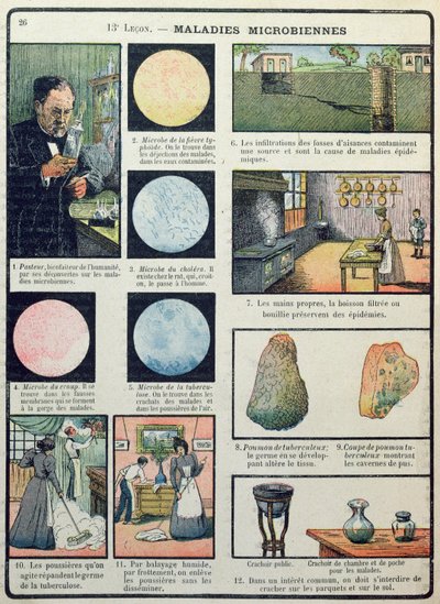 لويس باستور (1822-1895) والأمراض البكتيرية ، من Les Sciences Physiques et Naturelles ، باريس ، 1908 بواسطة المدرسة الفرنسية
