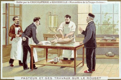 لويس باستور (1822-1895) يعمل على التحقيق في الحصبة ، البطاقة الإعلانية لـ Chocolaterie dAiguebelle بواسطة المدرسة الفرنسية
