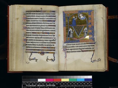 MS 300 f25v-26r ، ديفيد يصلي إلى الله ، من سفر المزامير وساعات إيزابيلا الفرنسية ، باريس ، حوالي 1265-70 بواسطة المدرسة الفرنسية