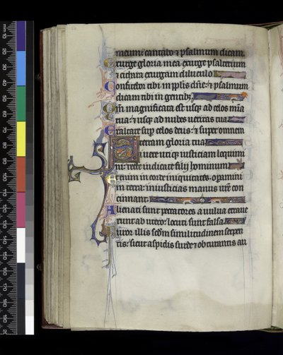 MS 300 f.61v ، ورقة من سفر المزامير وساعات إيزابيلا الفرنسية ، باريس ، حوالي 1265-70 بواسطة المدرسة الفرنسية