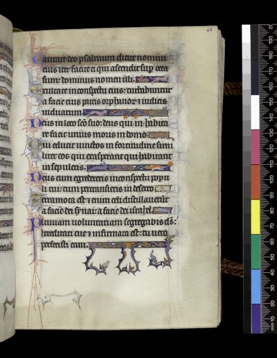 MS 300 f.68r ، صحيفة من سفر المزامير وساعات إيزابيلا الفرنسية ، باريس ، حوالي 1265-70 بواسطة المدرسة الفرنسية