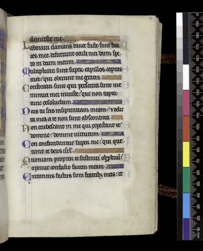 MS 300 f.71r ، من سفر المزامير وساعات إيزابيلا الفرنسية ، باريس ، حوالي 1265-70 (قلم حبر وحبر وتمبرا على ورق) بواسطة المدرسة الفرنسية