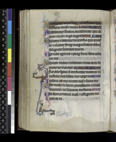 MS 300 f.73v ، من سفر المزامير وساعات إيزابيلا الفرنسية ، باريس ، حوالي 1265-70 بواسطة المدرسة الفرنسية