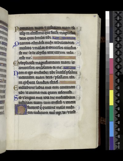MS 300 f.75r ، من سفر المزامير وساعات إيزابيلا الفرنسية ، باريس ، حوالي 1265-70 (قلم حبر وحبر وتمبرا على ورق) بواسطة المدرسة الفرنسية