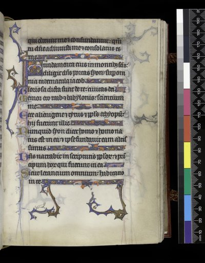 MS 300 f.95r ، ورقة من سفر المزامير وساعات إيزابيلا الفرنسية ، باريس ، حوالي 1265-70 بواسطة المدرسة الفرنسية