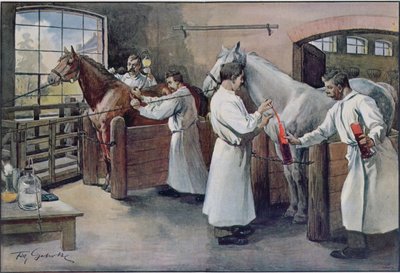 صنع مصل الخناق من دم الحصان ، من Les Animaux ، c.1900 بواسطة المدرسة الفرنسية