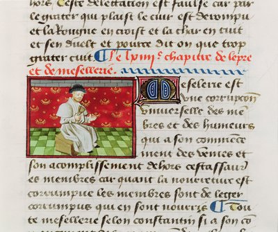 Ms.Fr.22532 Fol.118 Leper ، من Le Livre des Proprietez des Choses بواسطة Barthelemy lAnglais بواسطة المدرسة الفرنسية