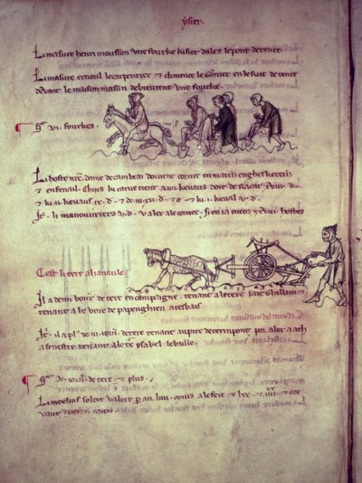 السيدة 1175 f.156v العمل ، من Vieil Rentier dAudenarde ، 1291-1302 بواسطة المدرسة الفرنسية