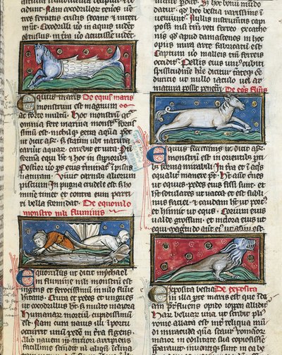 Ms 320 Fol.115r Sea Monsters, from 