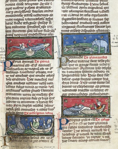 Ms 320 Fol.116 Sea Monsters, from 