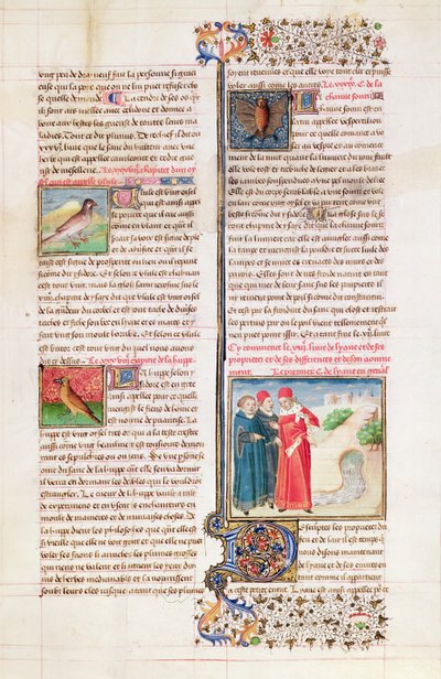 السيدة 399 ، الصفحة 149 ، خصائص السلحفاة ، الهدهد والخفاش ، من فيلم "Livre des Proprietes des Choses" بقلم بارتيليمي لانجليس بواسطة المدرسة الفرنسية