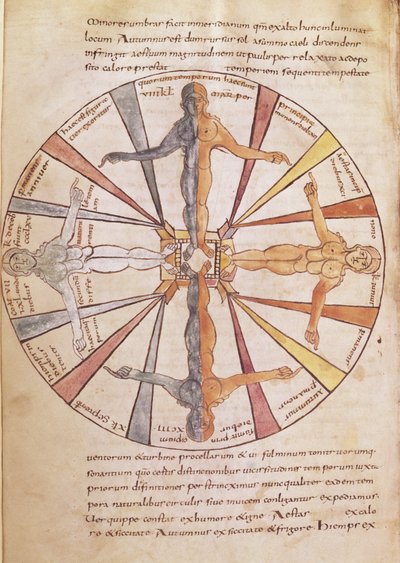السيدة 422 fol.6v عجلة المواسم والأشهر ، من De Natura Rerum بقلم القديس إيزيدور من إشبيلية بواسطة المدرسة الفرنسية