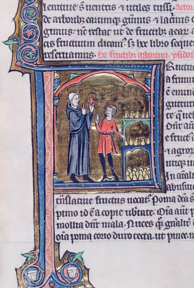 Ms 426 fol.135 تعليم أفضل طريقة لحفظ الكمثرى ، من Le Miroir de la Nature بقلم فنسنت دي بوفيز بواسطة المدرسة الفرنسية