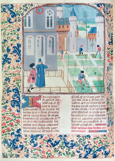 السيدة 5064 f.151v الحديقة ، رسم توضيحي من Le Livre des Prouffitz Champestres بقلم بيترو دي كريسينزي (1230-132021) بواسطة المدرسة الفرنسية