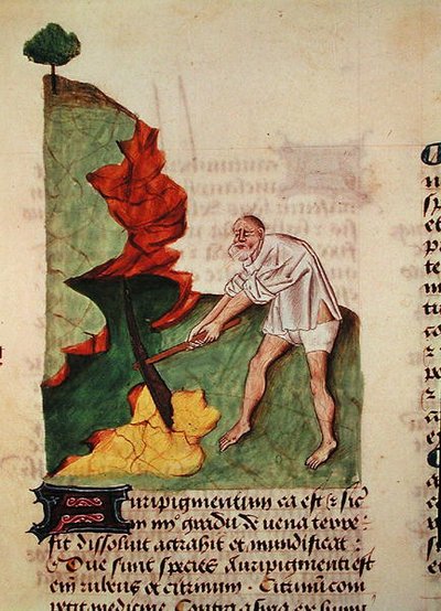 Ms 59 fol.3v البحث عن الذهب من Grand Herbier بواسطة Pedanius Dioscorides (c.40-90) بواسطة المدرسة الفرنسية
